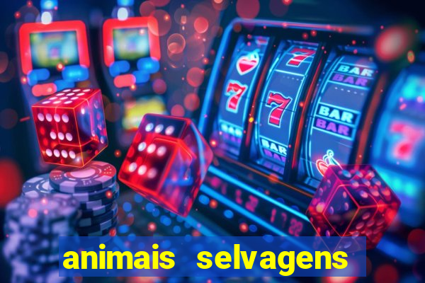 animais selvagens fotos e nomes